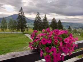 CASA LENA -VATRA DORNEI
